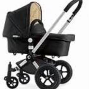 Bugaboo Frog Stroller/Accessories (2010)